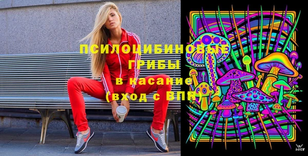 молекула духа Белоозёрский