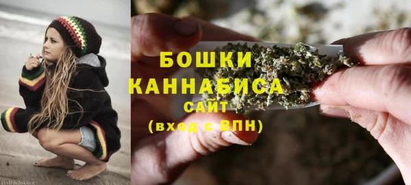 молекула духа Белоозёрский